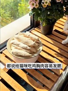 【SG ready stock】Freeze Dried Chicken  Snacks Cat Treats Dog Treats  Food Freeze Dried  Snacks