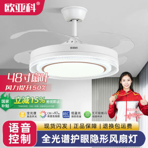 Invisible Ceiling Fan Light 48 Inch Remote Control Bedroom Dining Room Variable Frequency Absorption Top Fan Lamp Home Use