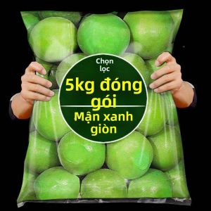 Kẹo Mận Giòn và Chua 5 lbs Phù Hợp cho Phụ Nữ Mang Thai