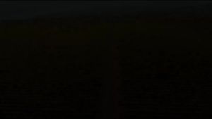 BURGOZONE VIA ISTRUM 2022 - Elegant Pinot Noir Red Wine 750ml