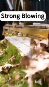 Portable Electric Air Blower & Vacuum Cleaner: A Comprehensive Guide