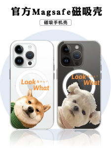 เคสโทรศัพท์มือถือ MagSafe ดูสุนัขชิวันดีไซน์น่ารัก ใส่กระจก ดูดซับแม่เหล็กแรง สำหรับ iPhone 17 pro Max คู่รัก 16 โทรศัพท์มือถือ 14 plus
