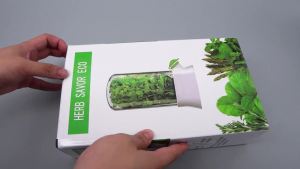 Hộp Bảo Quản Rau Củ Quả Tươi 1 Chiếc Thoáng Khí Tiện Dụng Cho Nhà Bếp Trang Trí Nhà Cửa Hộp Giữ Tươi Thảo Mộc
