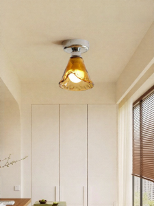 FANCY LAMP CLUB | Versatile Modernist Ceiling Light