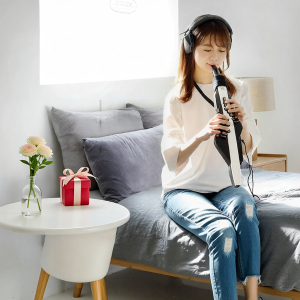 Beginner Elderly Friendly Electronic Wind Instrument