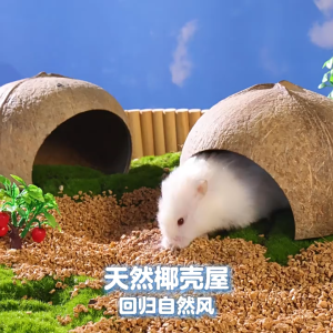 nhà gáo dừa cho hamster / chim / sóc / bò sát - T3 PETS SHOP