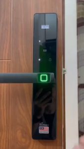 Khóa cửa vân tay Demax EL622 BL chính hãng app wifi tuya ttlock chống nước công nghệ Đức cao cấp