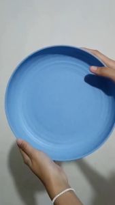 Piring Makan Saji Plastik 23cm Round Plate: Pilihan Ramah Lingkungan & BPA Free