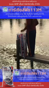 การ์เซียส์ฟิช Garcia 113M อาหารปลาดุกเล็ก อายุ 90 วันขึ้นไป โปรตีน25.5% โปรไบโอติก เม็ดกลาง NBDC