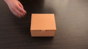 Plug and Socket Type F ( EUR & RUS)