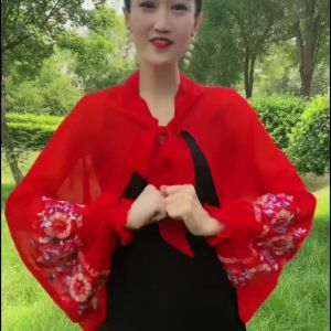 Ladies Summer New Ice Silk Chiffon Embroidered Pearl Satin Ice Sleeve Air Conditioner Neck Protection Shawl Soft Smooth Polyester Fiber