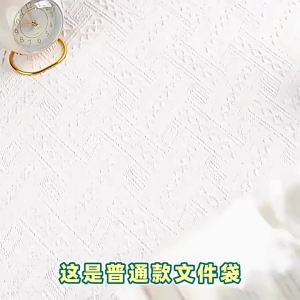 Large Handheld A4 File Folder 13 Layer Transparent Exam Paper Storage Bag Penyimpanan Fail 试卷手提袋