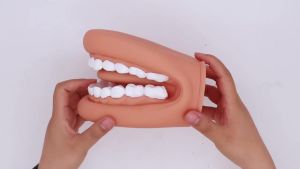 Dental Model Mighty Mouth Hand Puppet With Tongue Children Brushing Toy Speech Therapy Dentist Teaching Model Oral Training Tool