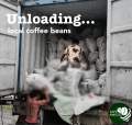 [Kape Amigo] Kapeng Barako [in Thick Plastic] Premium Batangas Coffee Beans & Grounds. 