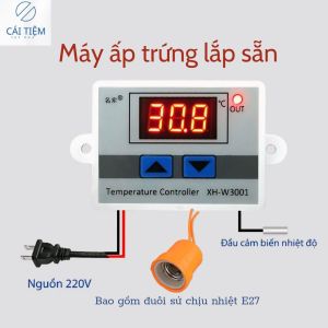 Trứng Rutin Chuẩn F1 Bao cồ 10Trứng (tặng 2 trứng)
