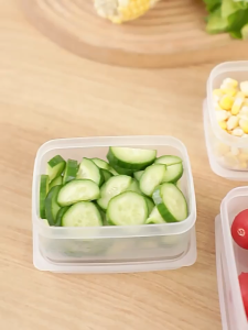 【PLAYFUL】Frozen Storage Container Portable Food Fruit Storage Box