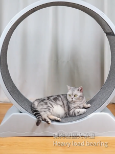 Cat Treadmill Cat Exercise Wheel Removable Mat Pet Fitness Training Toy for Indoor Promote Health/Weight Loss