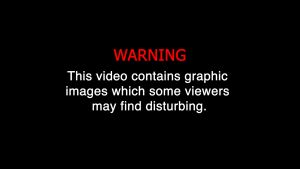 Cockroach Trap Cockroach Box Bait Cockroach Killer Non Toxic Reusable Cockroach Trap/Catcher