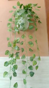 Daun Juntai daun rambat daun sulur daun artificial daun +pot gantung dinding