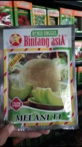 Benih Bibit Melon Hijau Melani F1 Bintang Asia
