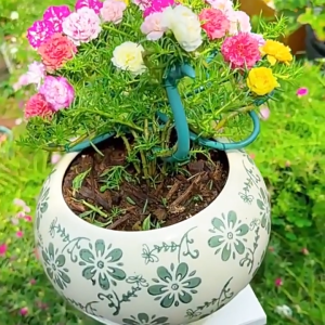 ชุดสนับสนุนดอกไม้ดีไซน์นกยูง 1 ชิ้น แร็คพลาสติกจัดแต่งสวนสำหรับดอกไม้ ขาตั้งสำหรับดอกไม้ระเบียง สนับสนุนกรอบ โครงไม้เลื้อย ที่ยึดใช้งานง่ายและมั่นคง ชั้นวางกระถางต้นไม้ ขาตั้งดอกไม้สำหรับระเบียง ขาตั้งกระถางดอกไม้หลายฟังก์ชัน ชั้นวางกระถางดอกไม้