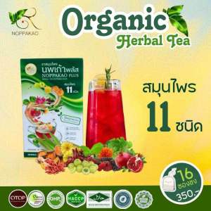 ชานพเก้า สูตรใหม่ รวมสมุนไพร11 ชนิด เพื่อสุขภาพและช่วยปรับสมดุลย์ร่างกาย