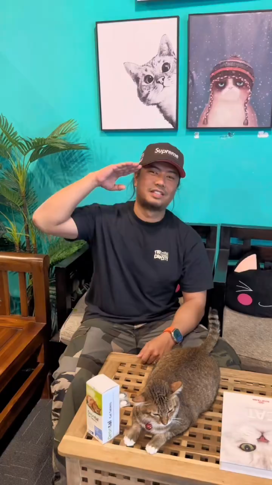 EXP:2029【Buy 3pill free 1pill】Drontal Cat Deworm 1 Tablet /Cat deworming Recommended by Veterinarians