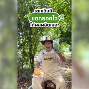 ID.KASET จุลินทรีย์ อะมิโนพรีเมี่ยม ขนาดบรรจุ 1000 ml.(Pack3)