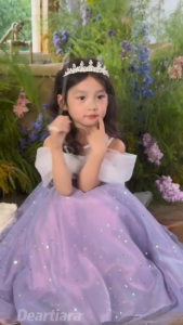 Exquisite Crystal Tiaras Retro Rhinestone Kids Crown Elegant Princess Simple Tiara for Kids&Adult