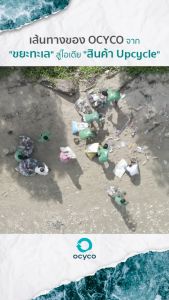 เสื้อยืด OCYCO รุ่น รักษ์ทะเล(โลมา)