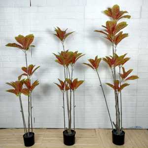 Azgalery PBP172 Tanaman Hias Pot Pohon Daun Puring Macan Plastik Ornamen Artificial Dekorasi COD
