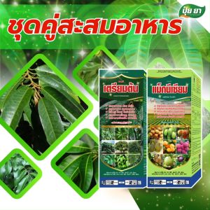 สะสมอาหารทุเรียน พร้อมออกดอก เร่งใบแก่ ต้นสมบูรณ์ ใบเพสลาด ใบใหญ่ ปุ๋ยยา ชุดคู่ 1 ลิตร