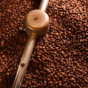 Doichang Elephant Premium 100% Arabica Coffee Beans Medium Roast 250g Bag