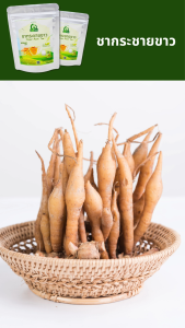 ชากระชายขาว ตราไร่กฤติยา (Finger Root Tea)