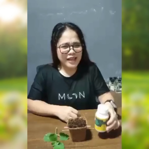 ROOTING POWDER PREMIUM GOLD - GROW FASTER GROW STRONG