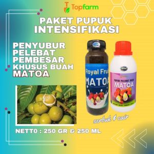 Pupuk Booster Buah Matoa: Solusi Optimal untuk Pertumbuhan Tanaman Markisa
