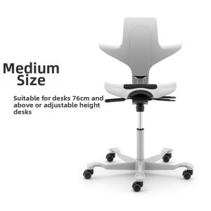 Ergonomic Back Support Saddle Office Chair