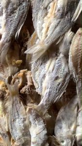 Ikan Asin Gulama Belah Ikan Kering Asin Kuniran Putih Ikan Laut Kering