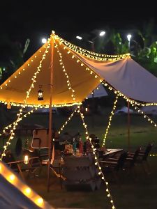 AI-C775 Lampu Tumblr 10 Meter Anggur Bulat Twinkle Light / Lampu Tumbler LED Rainbow Motif Bola Salju / Lampu Natal Hiasan Dekorasi