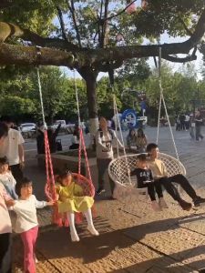 Nordic style Round Swing Chair Ceiling hanging chair Indoor Single Hammock Kids/Adult Swing Buaian Outdoor Swinging Sofa