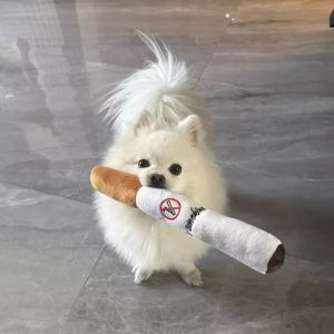 7o | Đồ Chơi Cho Chó Bền Có Tiếng Kêu Giải Trí