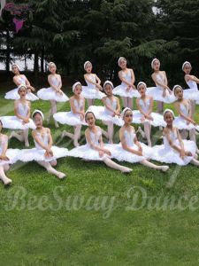 Professional Swan Ballet Performance Headwear Black White Feathers Beads Headwear Elegant Swans Lake Accessory by BeeSway