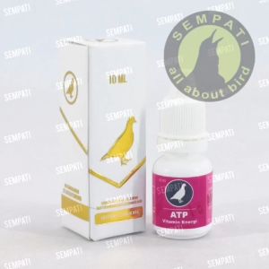 SEMPATI Vitamin Merpati Atp Vitarest Drop VITATP Doping Merpati Booster Merpati Multivitamin Obat Jamu Merpati Dara Anti Sakit