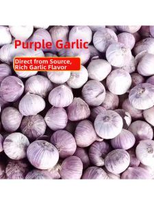Yunnan Dali Purple Peel Garlic Clove Dry Garlic
