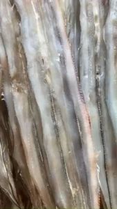 KHÔ CÁ CHÌNH MỠ VỪA ĂN - VỰA KHÔ TÚ SƯƠNG - KHÔ CÁ CHÌNH BIỂN