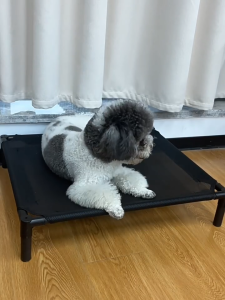 Teekland Elevated Pet Bed Dog Cat Folding Pet Camping Bed Cat Puppy House Portable Removable Washable Four Seasons Cats Kennel Puppy Beds