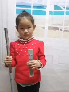 Tiang Iklan Teleskopik Teleskopikuntuk Papan Iklan Yang Dapat Diangkat Di Tangan Standing