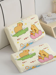 Cartoon Childrens Latex Pillowcase Single Inner Core Case 40x60 Irregular Shape Pillowcase New 2025 Polyester Fiber Knitted