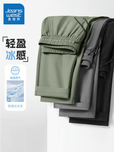 Quần Dài Thể Thao Nam True Weave Nhanh Khô Mùa Hè Mỏng Rộng Rãi Ống Đứng Quần Dài Thời Trang Nine Points Ice Silk