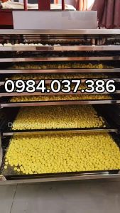 Máy sấy trà xanh trà hoa cúc trà hoa hồng 10 khay